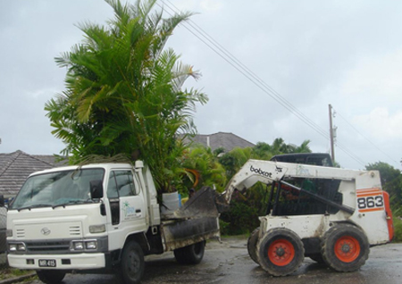 Landscaping Services Barbados